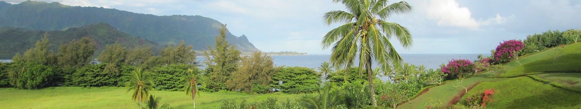 oahu-hawaiian-hostel